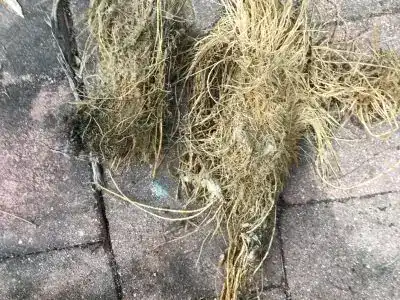 Plumber To Your Door team at work