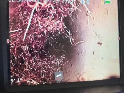 CCTV pipe inspection in Townsville