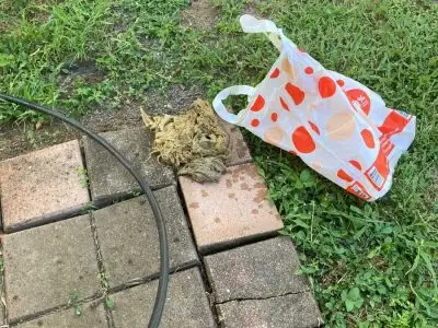 Blocked drain caused by wet wipes