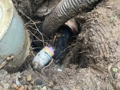 Root intrusion in Townsville drain