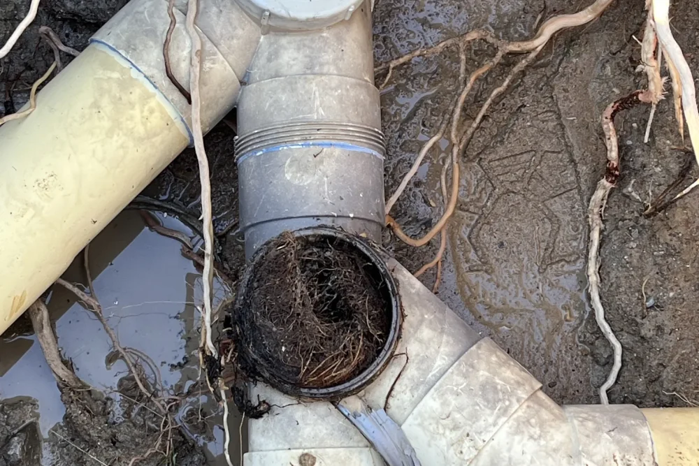 Blocked Drains